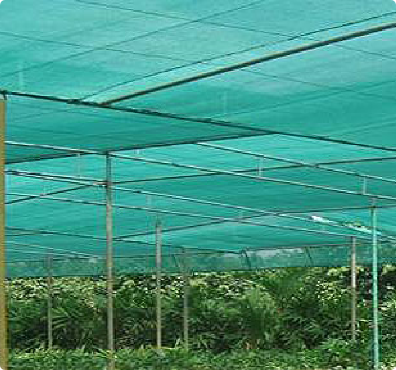 Shade Net for Agriculture, Gardens and Nurseries • Niraj Nettings